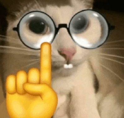 Foto de perfil de Ravlito